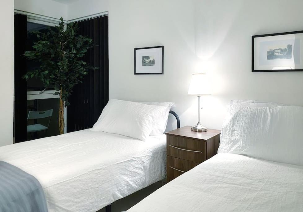 Two Bedroom Luxury With Film Style Swansea